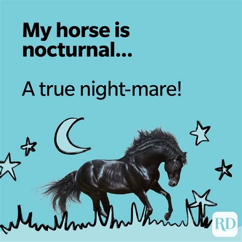 horse racing puns|30 Horse Puns .